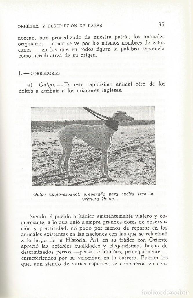 Libros de segunda mano: PERROS DE CAZA-Fernando Huerta Ramirez - Foto 6