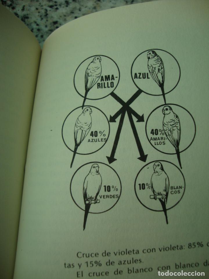 Libros de segunda mano: Periquitos - Foto 2
