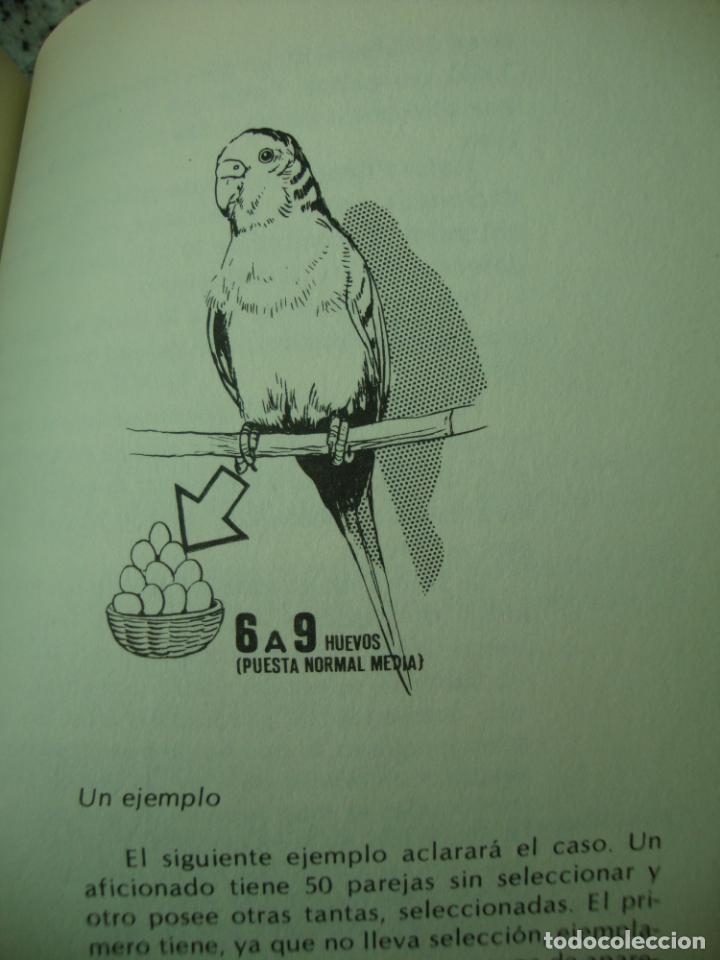 Libros de segunda mano: Periquitos - Foto 4