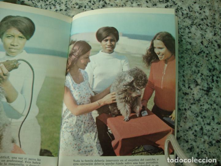Libros de segunda mano: El caniche, por Evelyn Miller - Foto 2