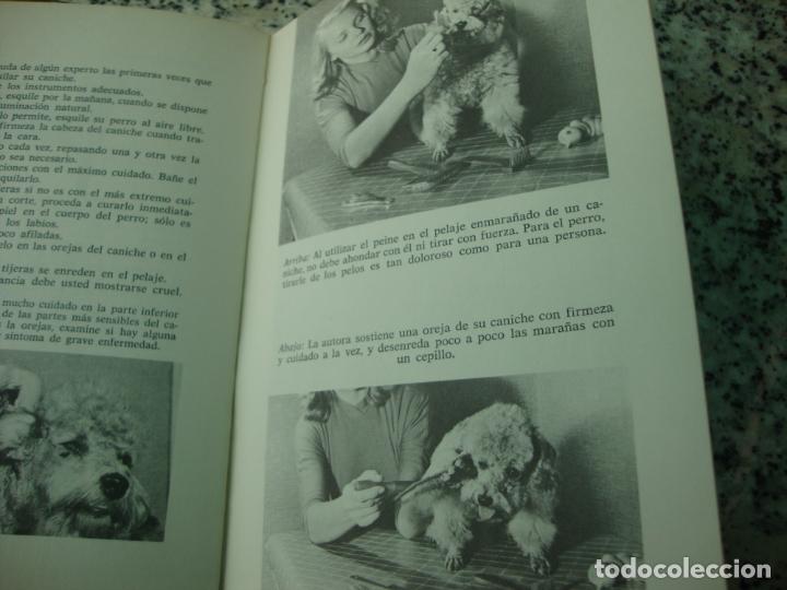 Libros de segunda mano: El caniche, por Evelyn Miller - Foto 3