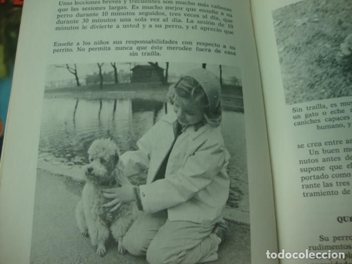 Libros de segunda mano: El caniche, por Evelyn Miller - Foto 4