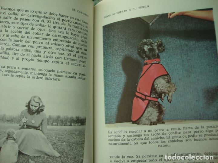 Libros de segunda mano: El caniche, por Evelyn Miller - Foto 5