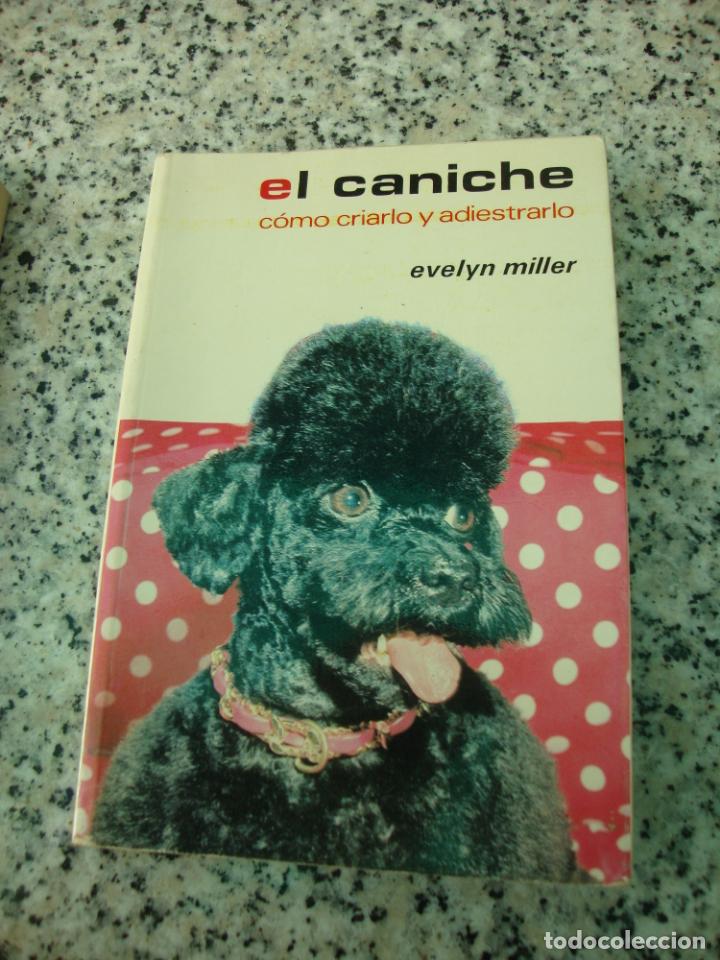 Libros de segunda mano: El caniche, por Evelyn Miller - Foto 1