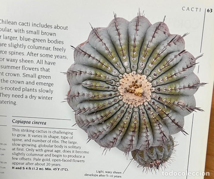 Libros de segunda mano: The complete book of Cacti & Succulents - Foto 7