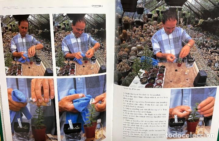 Libros de segunda mano: The complete book of Cacti & Succulents - Foto 10