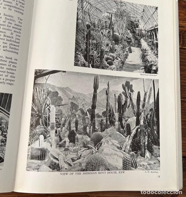 Libros de segunda mano: Cactus and other Succulent Plants - Foto 7