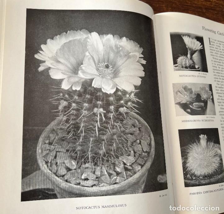 Libros de segunda mano: Cactus and other Succulent Plants - Foto 8