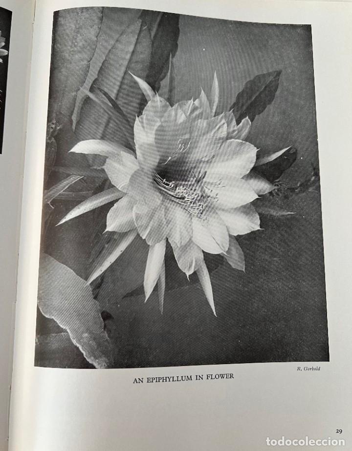 Libros de segunda mano: Cactus and other Succulent Plants - Foto 9