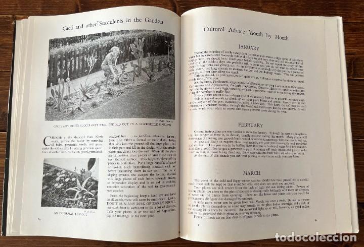 Libros de segunda mano: Cactus and other Succulent Plants - Foto 10