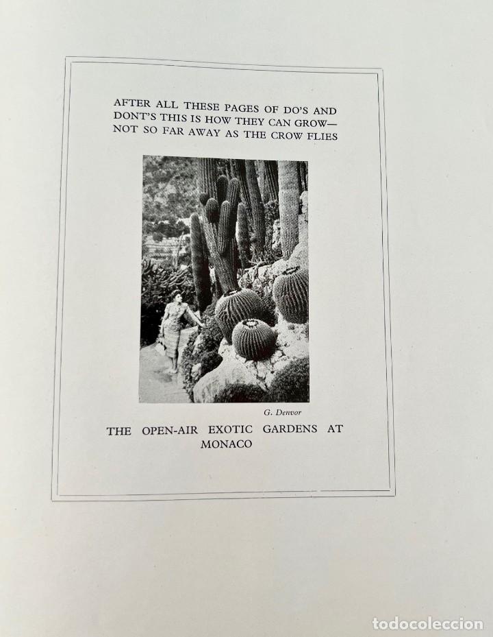 Libros de segunda mano: Cactus and other Succulent Plants - Foto 11