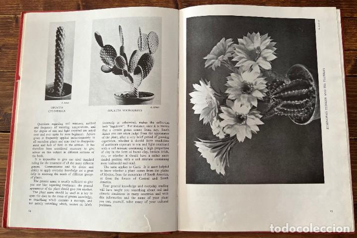 Libros de segunda mano: CACTUS and other SUCCULENT PLANTS - Foto 4
