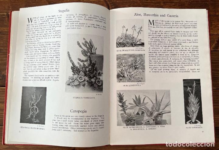 Libros de segunda mano: CACTUS and other SUCCULENT PLANTS - Foto 5