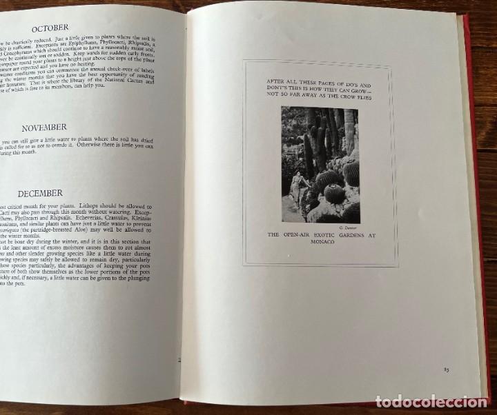 Libros de segunda mano: CACTUS and other SUCCULENT PLANTS - Foto 6