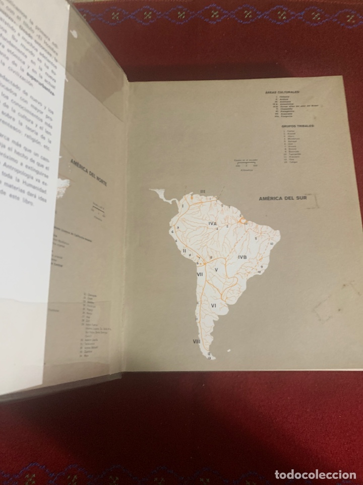 Libros de segunda mano: Antropolog&iacute;a. El estudio del hombre. E. Adamson Hoebel. - Foto 3