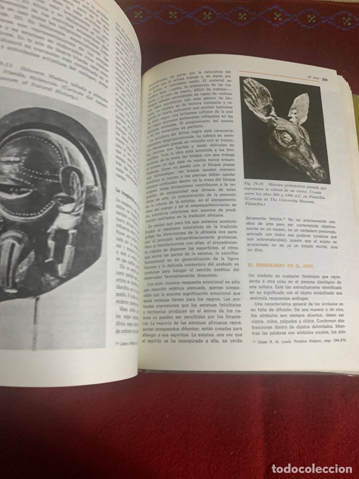 Libros de segunda mano: Antropolog&iacute;a. El estudio del hombre. E. Adamson Hoebel. - Foto 7