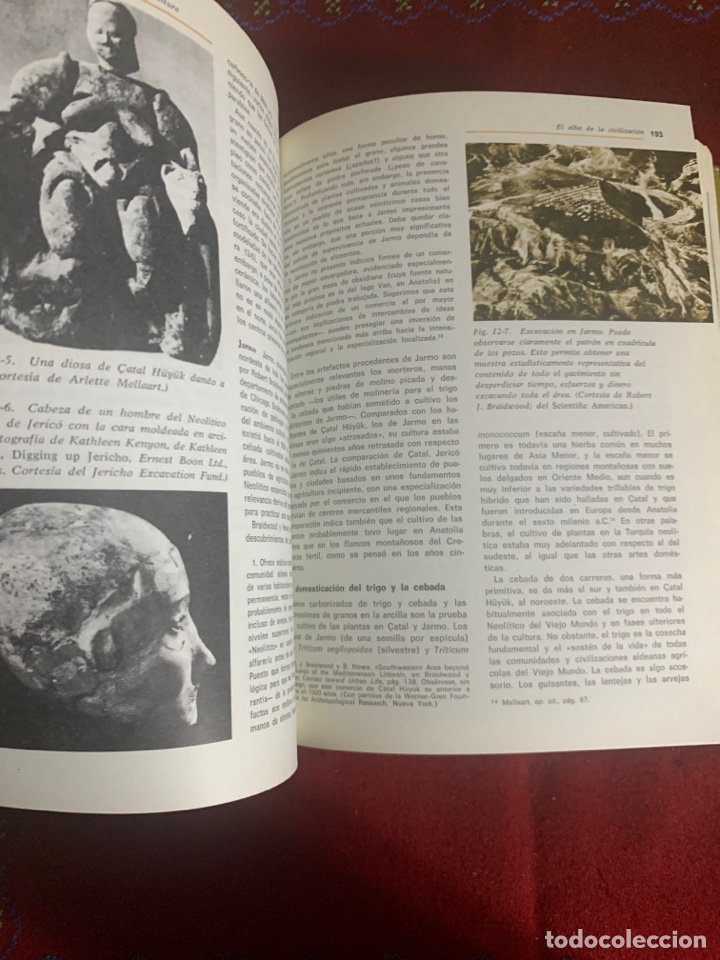 Libros de segunda mano: Antropolog&iacute;a. El estudio del hombre. E. Adamson Hoebel. - Foto 8