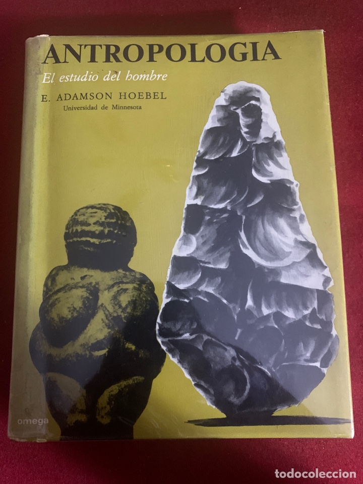 Libros de segunda mano: Antropolog&iacute;a. El estudio del hombre. E. Adamson Hoebel. - Foto 1