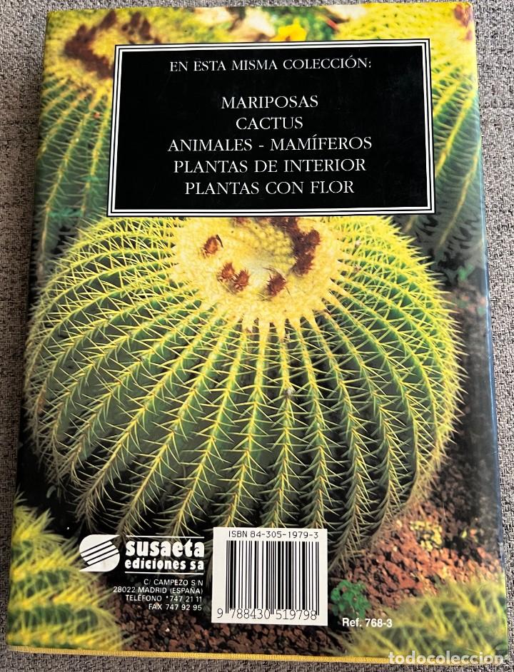 Libros de segunda mano: PEQUE&Ntilde;A ENCICLOPEDIA DE CACTUS - 426 Ilustraciones - Foto 2