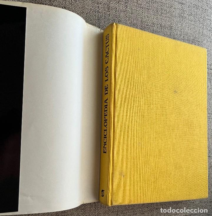 Libros de segunda mano: PEQUE&Ntilde;A ENCICLOPEDIA DE CACTUS - 426 Ilustraciones - Foto 3
