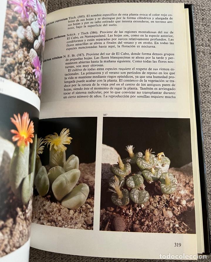 Libros de segunda mano: PEQUE&Ntilde;A ENCICLOPEDIA DE CACTUS - 426 Ilustraciones - Foto 8