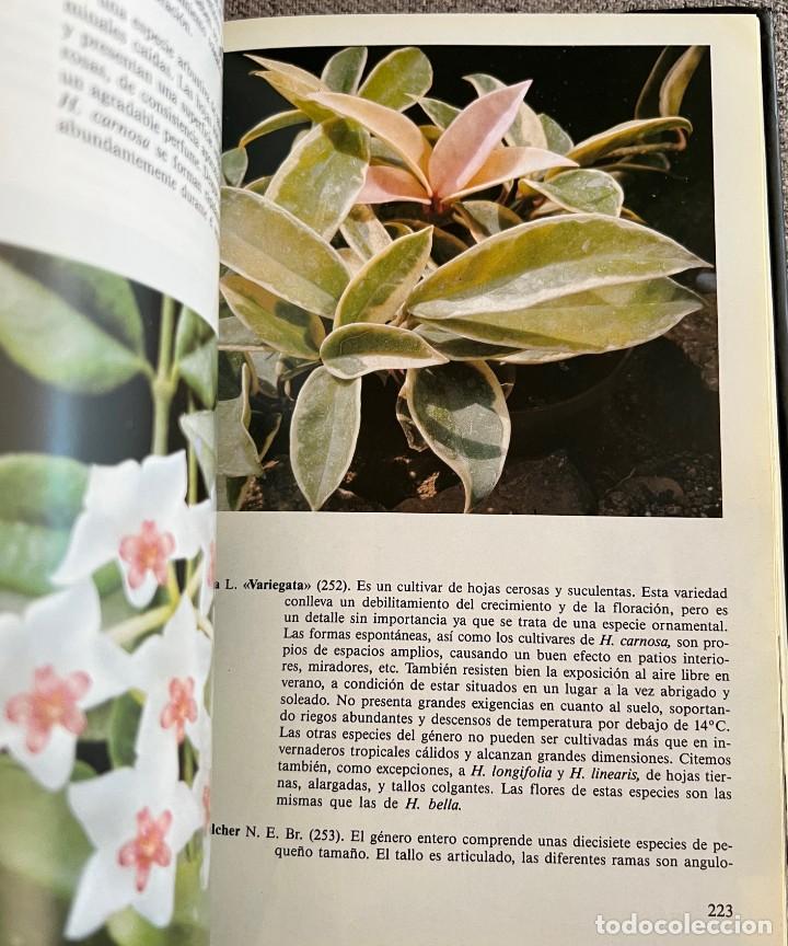 Libros de segunda mano: PEQUE&Ntilde;A ENCICLOPEDIA DE CACTUS - 426 Ilustraciones - Foto 12