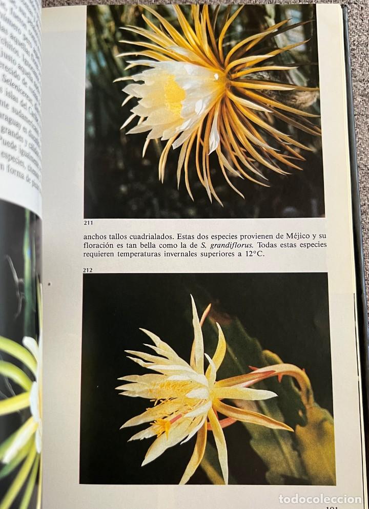 Libros de segunda mano: PEQUE&Ntilde;A ENCICLOPEDIA DE CACTUS - 426 Ilustraciones - Foto 13