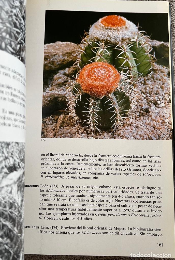 Libros de segunda mano: PEQUE&Ntilde;A ENCICLOPEDIA DE CACTUS - 426 Ilustraciones - Foto 14