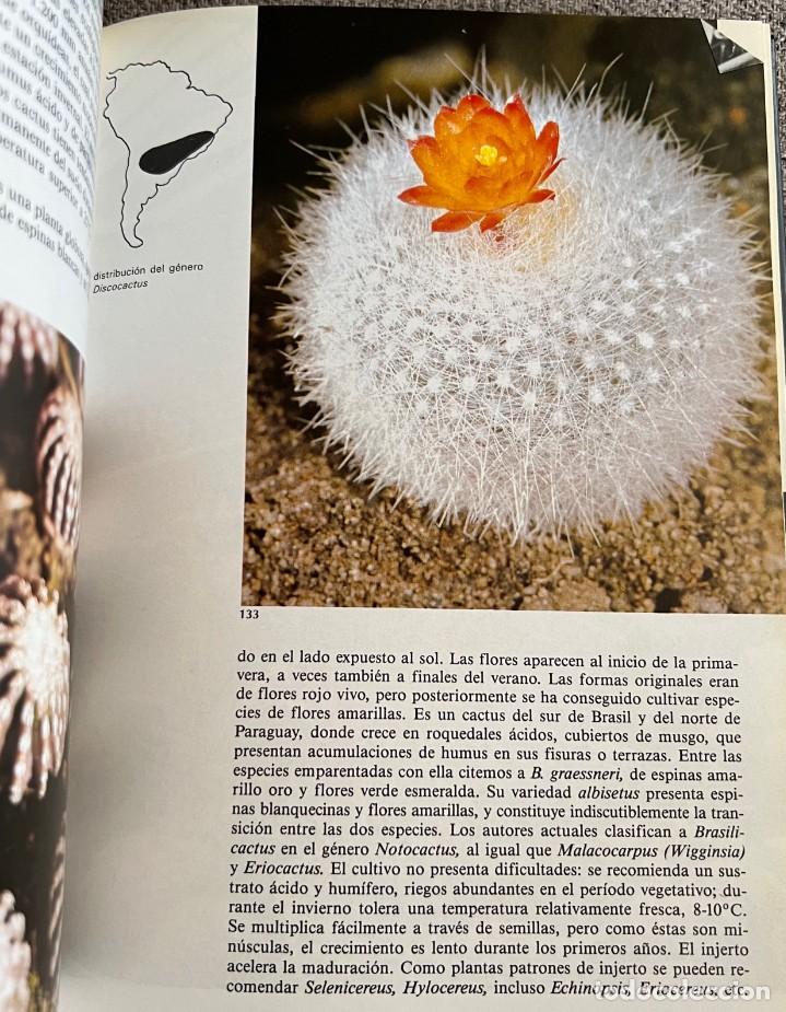 Libros de segunda mano: PEQUE&Ntilde;A ENCICLOPEDIA DE CACTUS - 426 Ilustraciones - Foto 16