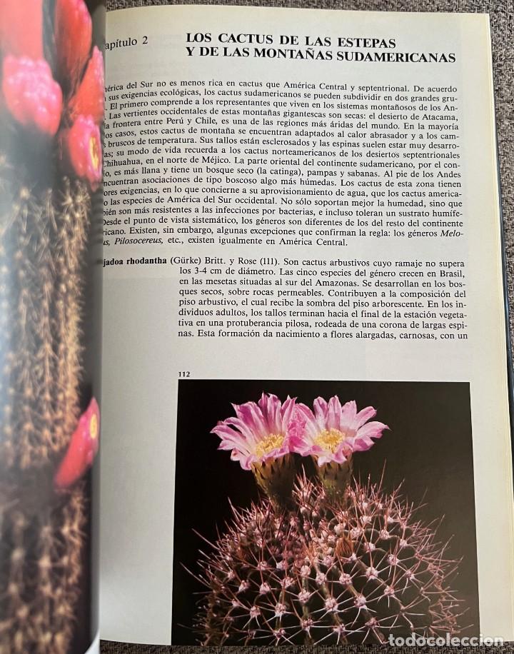 Libros de segunda mano: PEQUE&Ntilde;A ENCICLOPEDIA DE CACTUS - 426 Ilustraciones - Foto 17