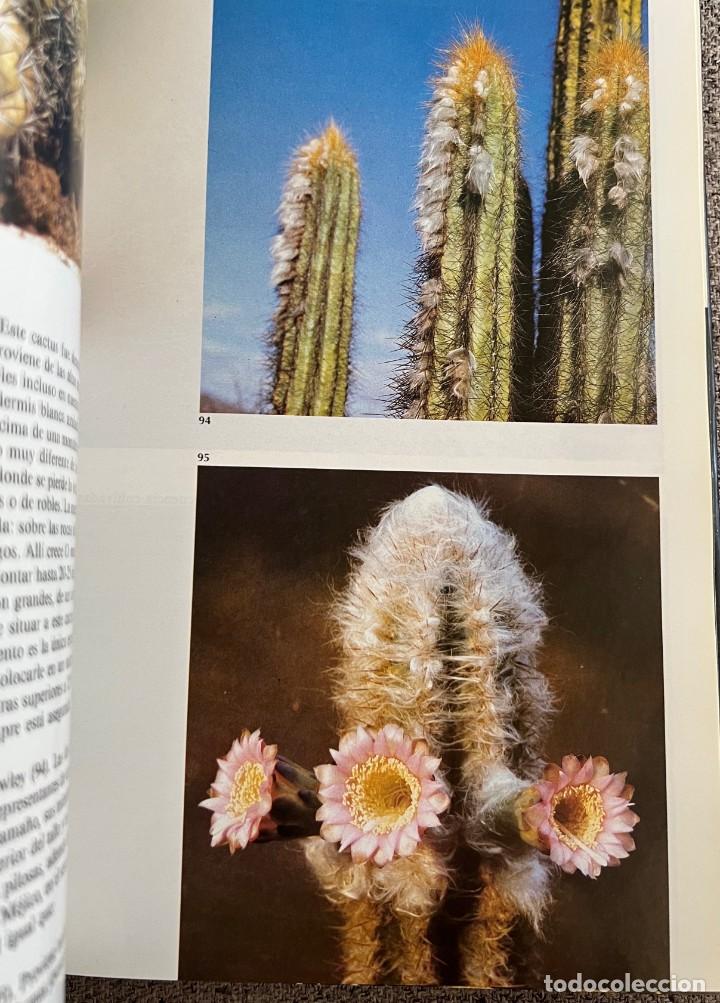 Libros de segunda mano: PEQUE&Ntilde;A ENCICLOPEDIA DE CACTUS - 426 Ilustraciones - Foto 18