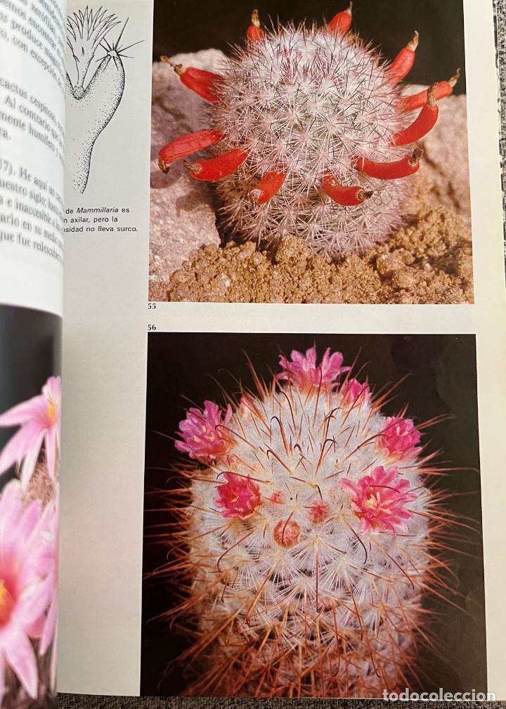 Libros de segunda mano: PEQUE&Ntilde;A ENCICLOPEDIA DE CACTUS - 426 Ilustraciones - Foto 19