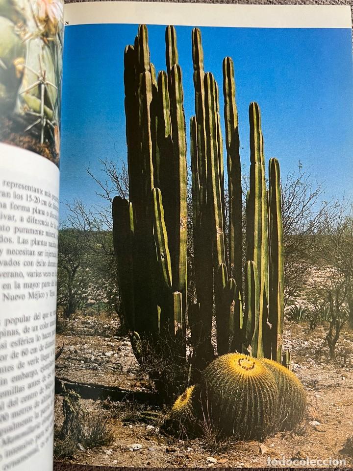 Libros de segunda mano: PEQUE&Ntilde;A ENCICLOPEDIA DE CACTUS - 426 Ilustraciones - Foto 20