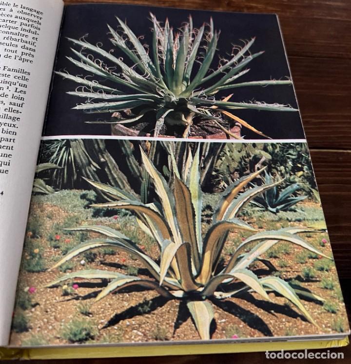 Libros de segunda mano: PLANTES GRASSES autres que les Cact&eacute;es - A. Bertrand - Foto 5