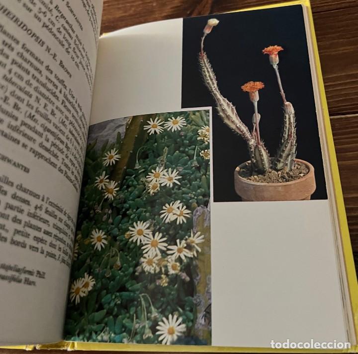 Libros de segunda mano: PLANTES GRASSES autres que les Cact&eacute;es - A. Bertrand - Foto 6