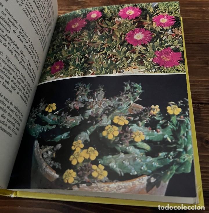 Libros de segunda mano: PLANTES GRASSES autres que les Cact&eacute;es - A. Bertrand - Foto 7