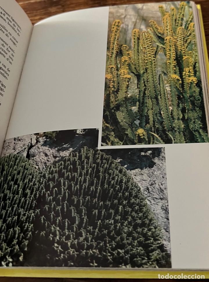 Libros de segunda mano: PLANTES GRASSES autres que les Cact&eacute;es - A. Bertrand - Foto 8