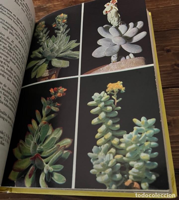 Libros de segunda mano: PLANTES GRASSES autres que les Cact&eacute;es - A. Bertrand - Foto 9