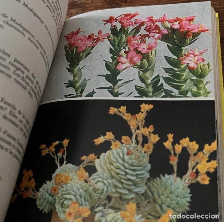 Libros de segunda mano: PLANTES GRASSES autres que les Cact&eacute;es - A. Bertrand - Foto 11
