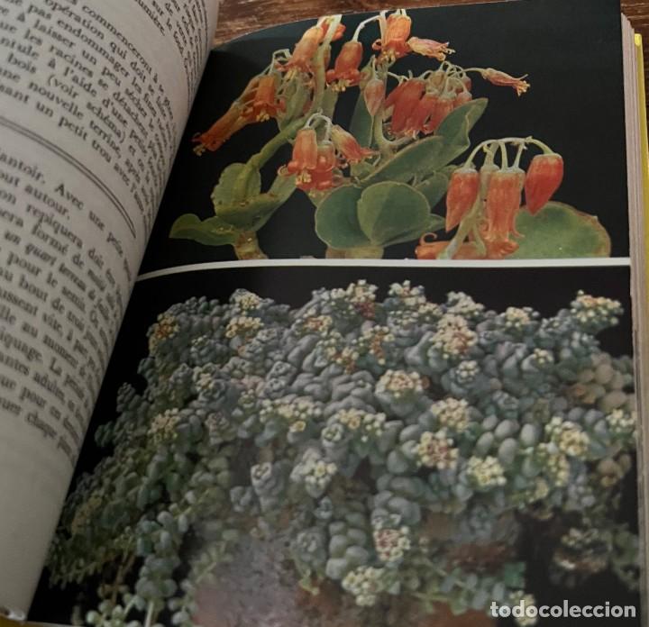Libros de segunda mano: PLANTES GRASSES autres que les Cact&eacute;es - A. Bertrand - Foto 12
