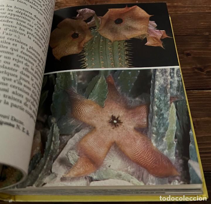 Libros de segunda mano: PLANTES GRASSES autres que les Cact&eacute;es - A. Bertrand - Foto 13
