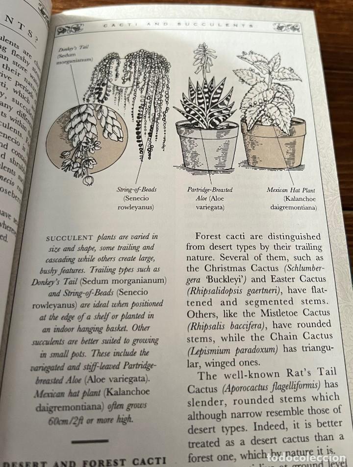 Libros de segunda mano: Cacti and Succulents - David Squire - Tiger - Foto 7