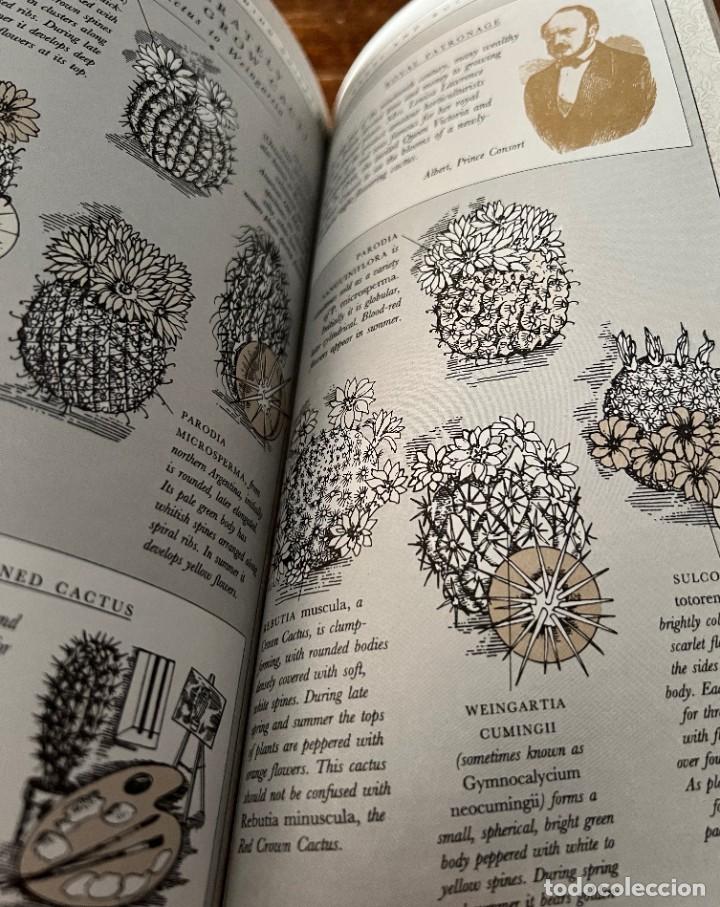 Libros de segunda mano: Cacti and Succulents - David Squire - Tiger - Foto 8
