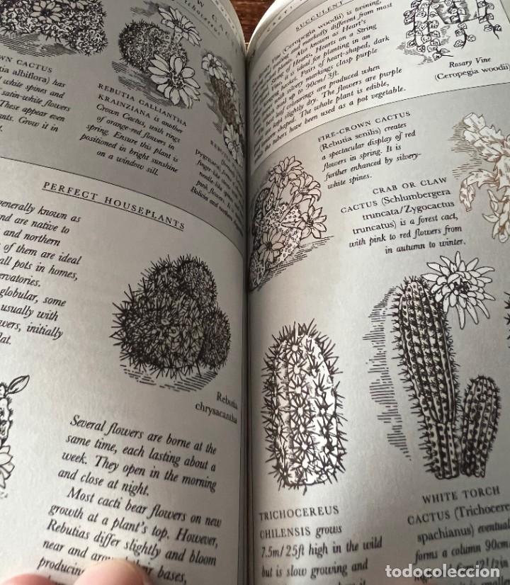 Libros de segunda mano: Cacti and Succulents - David Squire - Tiger - Foto 9