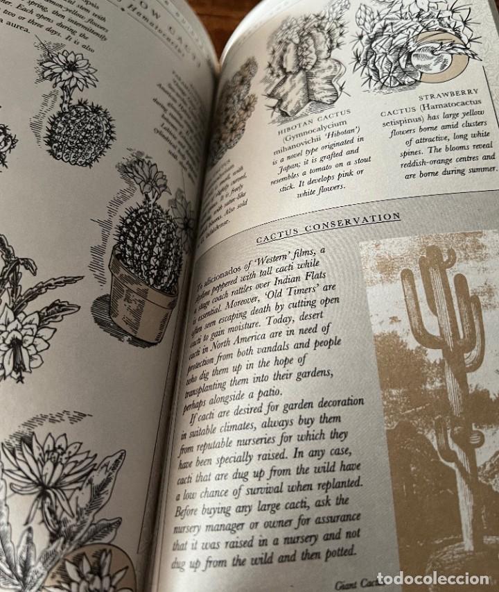 Libros de segunda mano: Cacti and Succulents - David Squire - Tiger - Foto 10