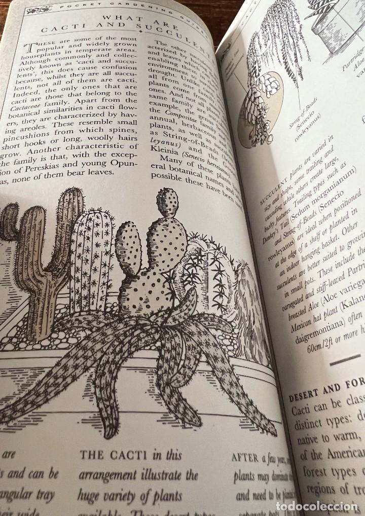Libros de segunda mano: Cacti and Succulents - David Squire - Tiger - Foto 11