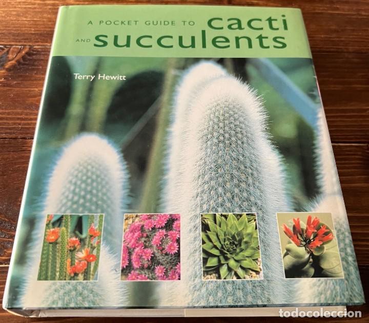 Libros de segunda mano: A Pocket guide to Cacti and Succulents - Terry Hewitt - Foto 1