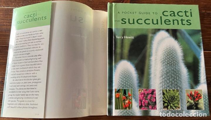 Libros de segunda mano: A Pocket guide to Cacti and Succulents - Terry Hewitt - Foto 4