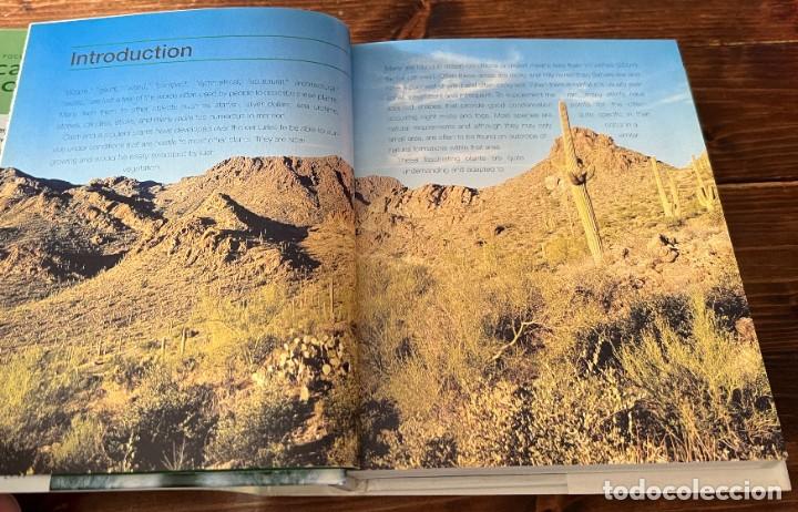 Libros de segunda mano: A Pocket guide to Cacti and Succulents - Terry Hewitt - Foto 8