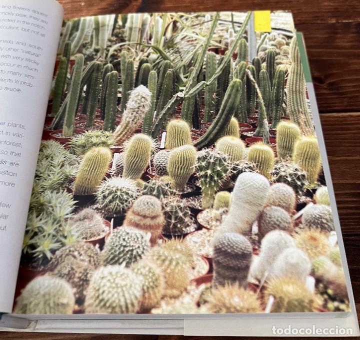 Libros de segunda mano: A Pocket guide to Cacti and Succulents - Terry Hewitt - Foto 9